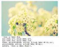 ​完美世界网名两个字(完美世界霸气结拜名字)