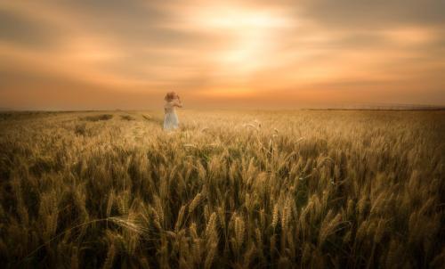 赞美雪的优美句子