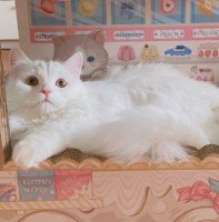 ​六一儿童节唯美句子 六一儿童节的优美句子