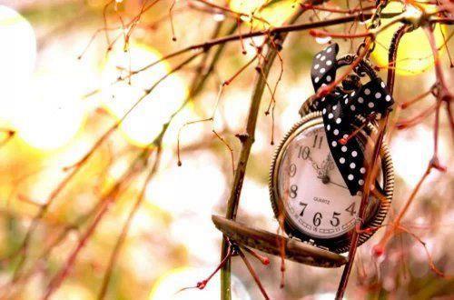 秋天来了写一句话简短的美悟