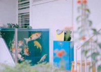 ​五年级下册语文歇后语67句