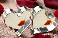 ​俏皮的早安语 问候早安的句子(精选30句)