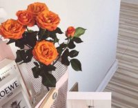 ​夸女朋友的唯美句子