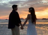 ​描写燕子飞翔的句子19句