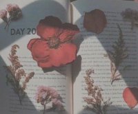 ​海边景色的描写 描写海浪的优美句子(64句)