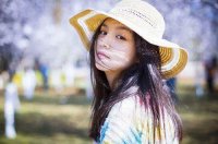 ​树的优美语句35条