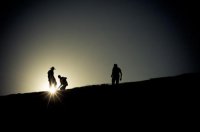 ​优美古风句子38条