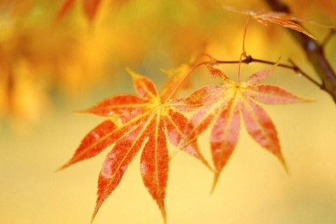 心态好的句子 心态决定一切的感悟