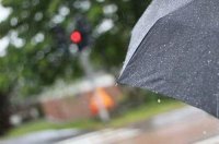 ​描写桃花的优美语句总结