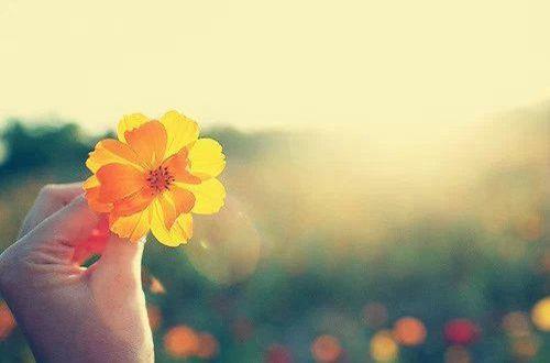 勉励同学共同进步的话