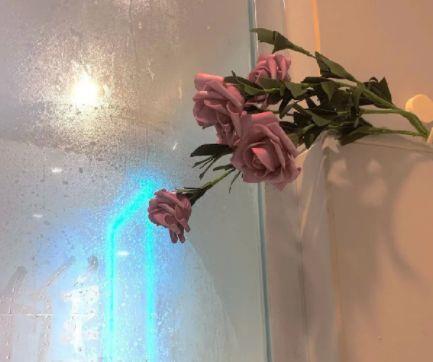 关于珍惜友情句子