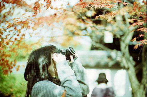 优美句子大全参考