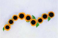 ​动听的音乐优美语句