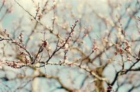 ​关于生活正能量句子(82句)