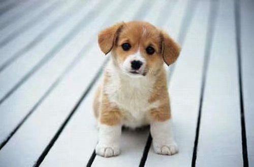 伤心的句子个性签名语录