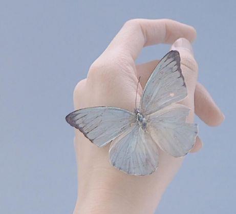 十字暖心短句 2025短句暖心十字以内