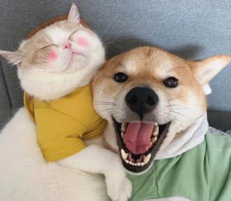 心疼老公的句子