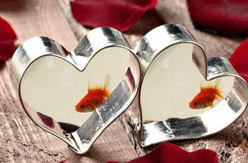 伤心失落的句子摘选