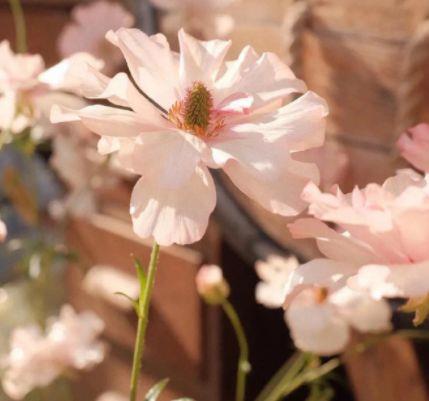 描写人伤心欲绝的句子