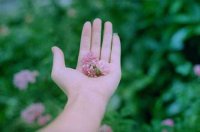 ​中考失利来自家长鼓励的句子(精选30句)