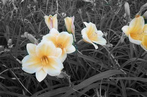 晚安语录深夜给自己的句子