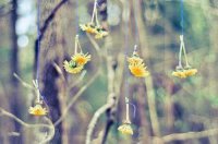 ​二年的心烦的句子