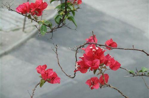 不主动联系伤感句子 一句“不是本人”敷衍了多少人?