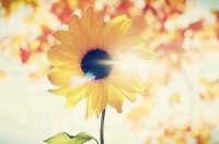 ​感悟人生的语录75条