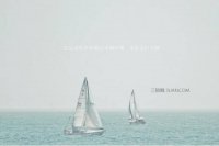 ​关于劳动最光荣的句子