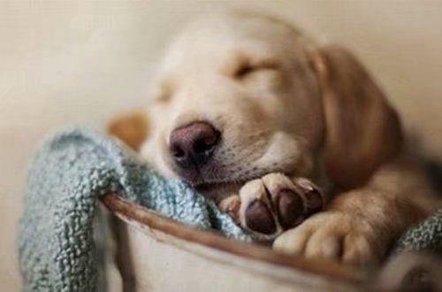 劝人开心一点的句子