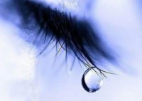 ​很精辟的人生感悟句子 精辟情感人生感悟句子