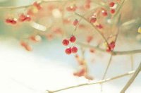 ​简洁的感悟人生语句58条