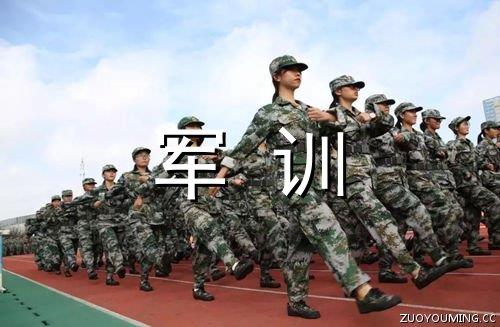 2025年简洁的感悟人生语句集合66条