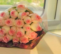 ​简洁的感悟人生语句摘录