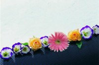 ​关于对男朋友失望的句子