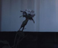 ​对夫妻失望的句子