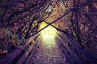 ​对女神失望的句子