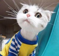 ​不开心就要开心的句子