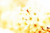 ​安慰失恋女生的话81句