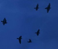 ​有哲理的治愈系文字语录(51句)