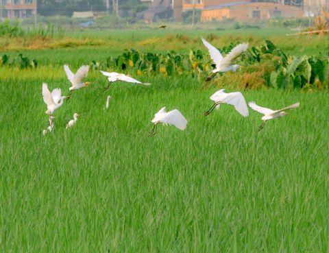 现实情感语录 情感治愈系语录