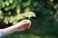 ​2025高中最新好句好段(精选70句)