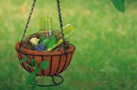 ​孩子感谢老师的话语 感谢老师的话语