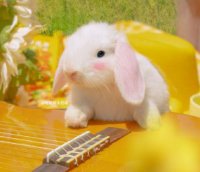 ​孩子每日运动感言一句话 每日运动感言一句话(35句)