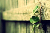 ​蛇吞蝎子歇后语69句