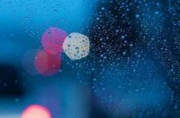 ​每日一条晨语干净短句收录25句