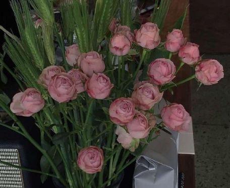 劝人不要悲伤难过的话