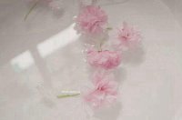 ​保护地球宣传语20字以内汇编67句