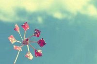 ​男表白女的话感人的