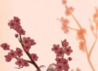 ​性签名大全最短120句